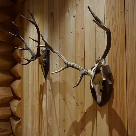 The Longhorn Saloon