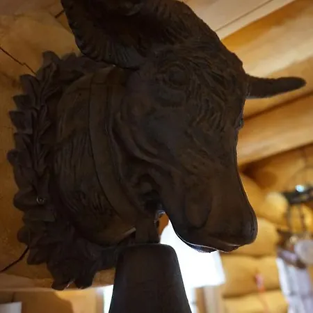 The Longhorn Saloon Guest house *