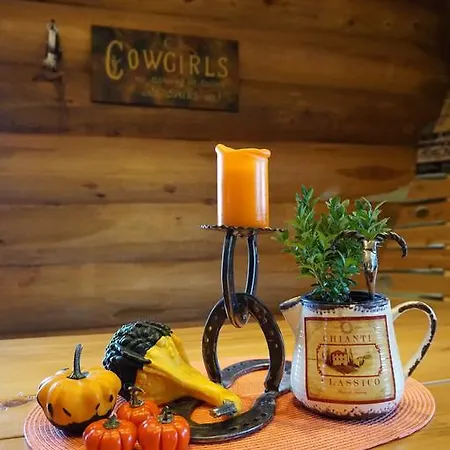 The Longhorn Saloon Guest house *