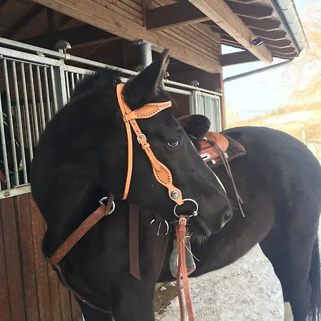 The Longhorn Saloon Guest house *